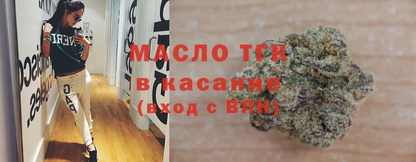 дживик Бородино