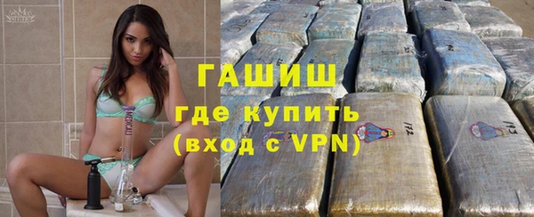 дживик Бородино