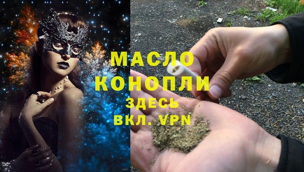 дживик Бородино